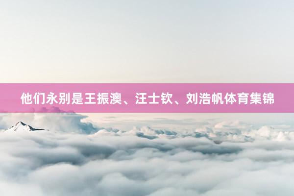 他们永别是王振澳、汪士钦、刘浩帆体育集锦