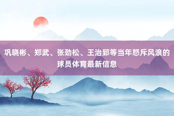 巩晓彬、郑武、张劲松、王治郅等当年怒斥风浪的球员体育最新信息