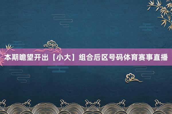 本期瞻望开出【小大】组合后区号码体育赛事直播