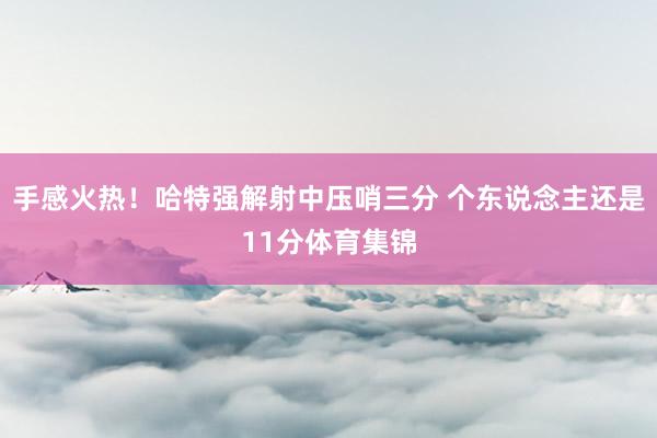 手感火热！哈特强解射中压哨三分 个东说念主还是11分体育集锦