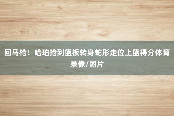 回马枪！哈珀抢到篮板转身蛇形走位上篮得分体育录像/图片