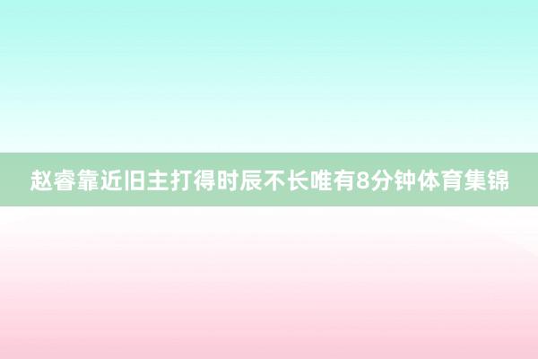 赵睿靠近旧主打得时辰不长唯有8分钟体育集锦