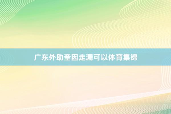 广东外助奎因走漏可以体育集锦