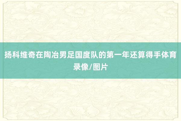 扬科维奇在陶冶男足国度队的第一年还算得手体育录像/图片