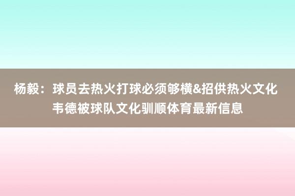 杨毅：球员去热火打球必须够横&招供热火文化 韦德被球队文化驯顺体育最新信息