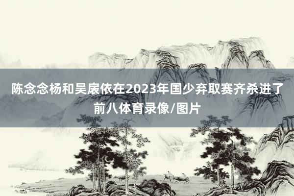 陈念念杨和吴扆依在2023年国少弃取赛齐杀进了前八体育录像/图片